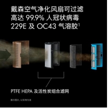 戴森 DYSON HP09 多功能无叶暖风扇 兼具空气净化器取暖器功能 除菌除甲醛 四季适用 白金色 