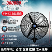 工业电风扇强力落地扇大风量牛角扇商用机械大功率车间工厂壁挂扇铝镁挂壁扇FS65