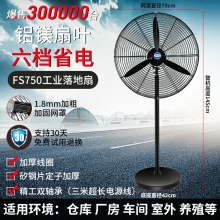 工业电风扇强力落地扇大风量牛角扇商用机械大功率车间工厂壁挂扇六档省电FS750