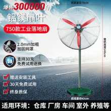 工业电风扇强力落地扇大风量牛角扇商用机械大功率车间工厂壁挂扇750款