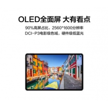 华为HUAWEI MatePad Pro 鸿蒙HarmonyOS OLED全面屏平板电脑 8+256GB