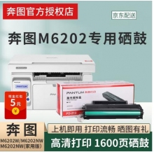 奔图M6202系列打印机专用硒鼓M6202W/NW奔腾打印机PD-213硒鼓碳粉 奔图M6202专用硒鼓一支装 标准版 