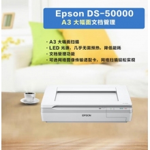 爱普生（EPSON）DS-50000  A3幅面CCD 4秒/页 高速高清文档平板式扫描仪 